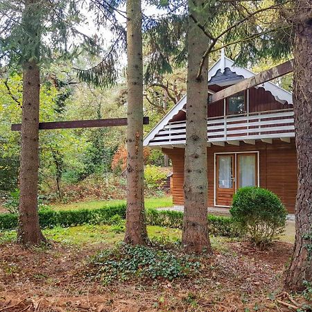 Chalet Oosterduinen By Interhome Norg Exterior foto